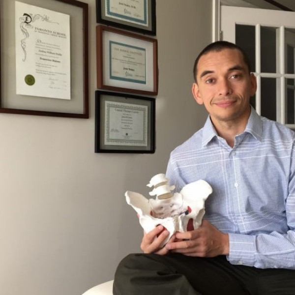 Osteopath Josh Noble holding a demonstration pelvis for massage and joint therapies in his Oakville office with his degrees and certifications for Chinese medicine, acupuncture, osteopathy and more.